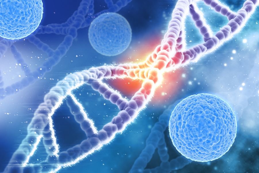 Fita de DNA